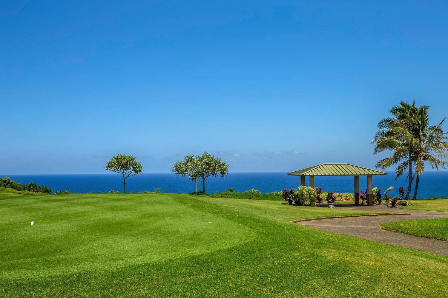 Kamahana 16 - Up Princeville Exterior photo